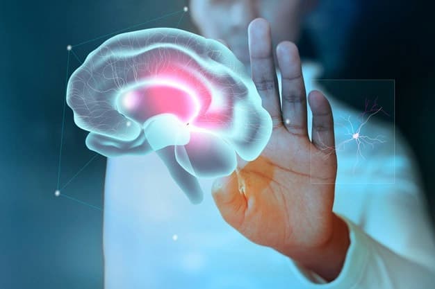 Know About Brain Stroke