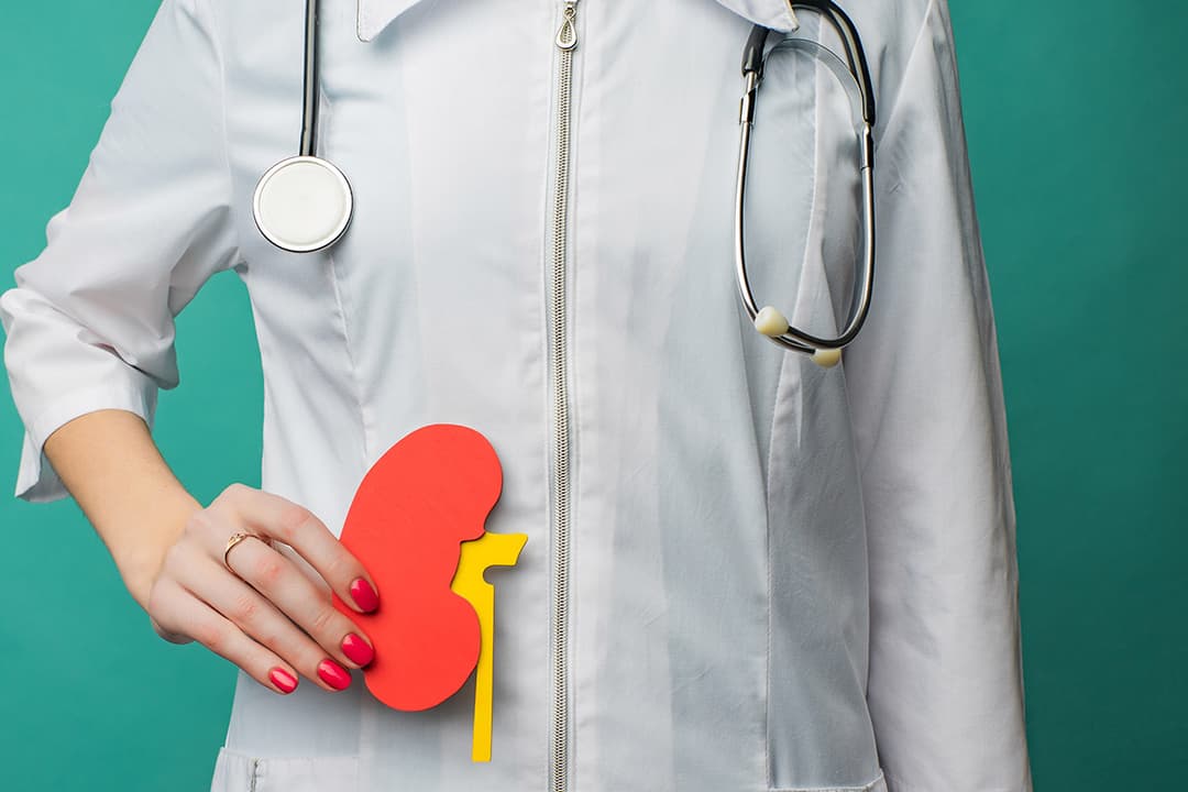 What are Kidney stones? Knock off the symptoms and seek the best treatment