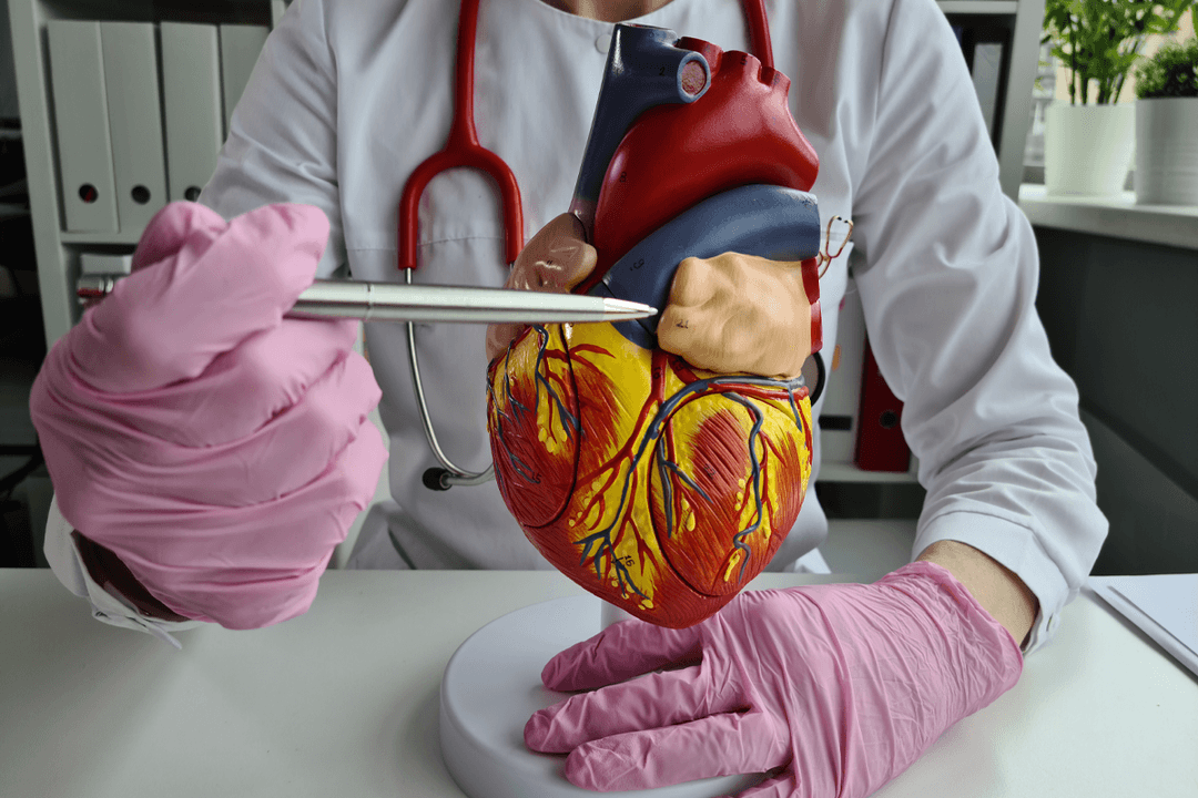 What Exactly Is a Stent, and How Can It Help Someone Who Has Heart Disease?