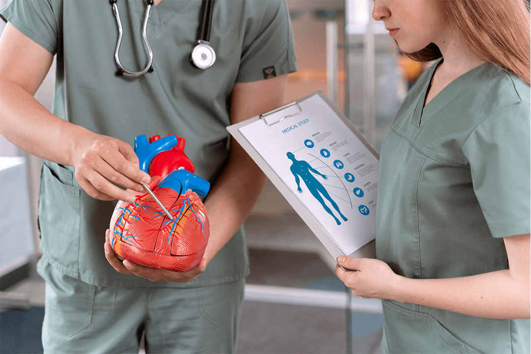 Congenital Heart Disease Explained: Causes, Symptoms, and Treatment Options