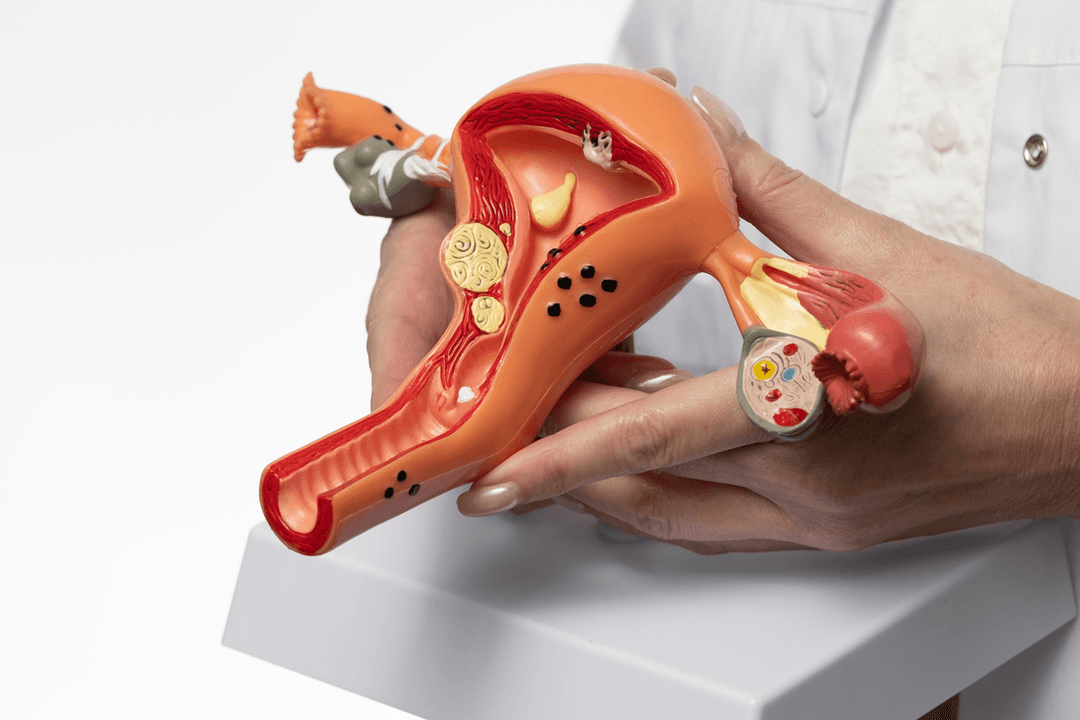 Endometritis Explained: Symptoms - Diagnosis and Treatment Options