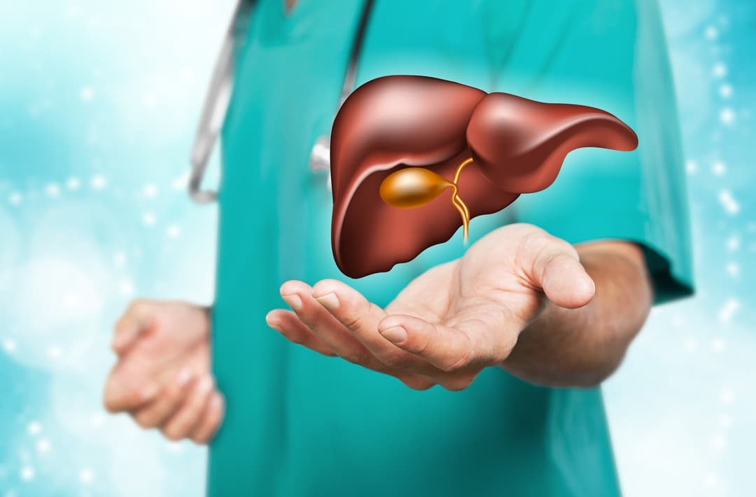 Liver: How important is it? And how to properly take care of it?