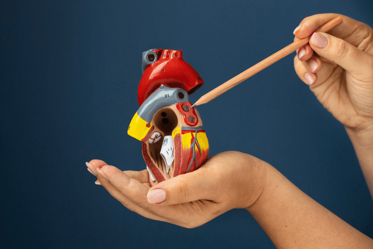 Blocked Arteries: Symptoms, Tests and Treatment Options