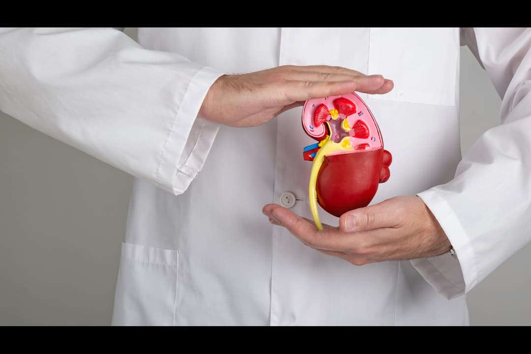 Kidney: Care & Be Aware