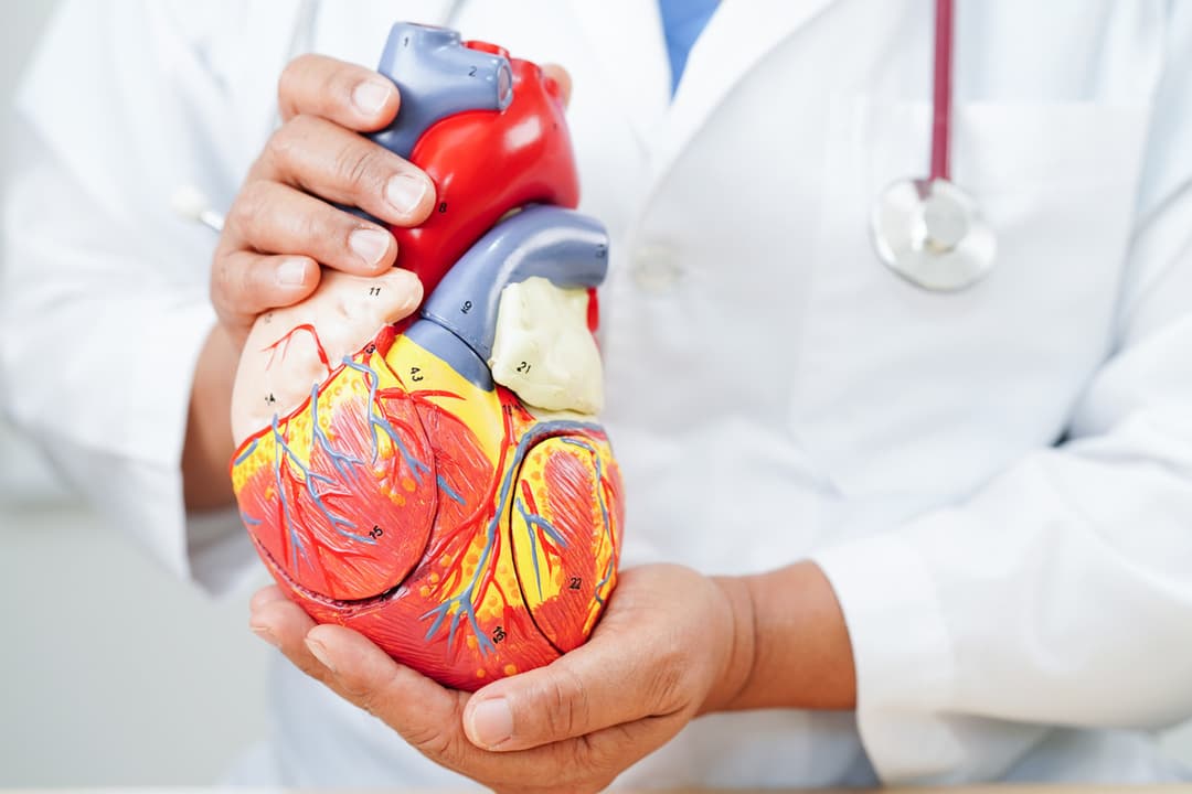 Understanding Heart Disease: Symptoms, Causes, and Treatments